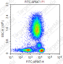 Anti-FITC Antibody-AF647 (1D10)
