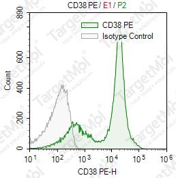 Anti-CD38 Antibody-PE (90)