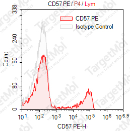 Anti-CD57 Antibody-PE (HNK-1)