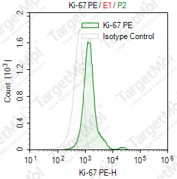Anti-Ki-67 Antibody-PE (Ki-67)