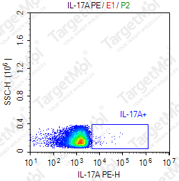 Anti-IL-17A Antibody-PE (BL23)