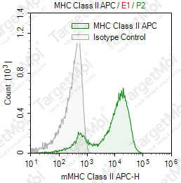 Anti-MHC Class II Antibody-APC (NIMR-4)
