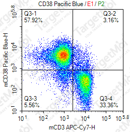 Anti-CD38 Antibody-Pacific Blue (NIMR-5)