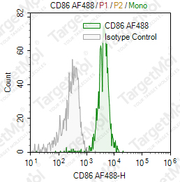 Anti-CD86 Antibody-AF488 (BU63)