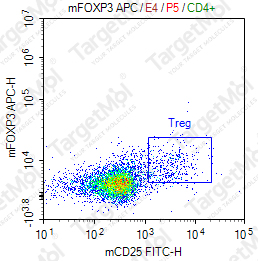 Anti-FOXP3 Antibody-APC (MF-14)