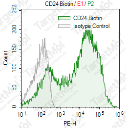 Anti-CD24 Antibody-Biotin (M1/69)