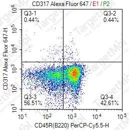 Anti-CD317 Antibody-AF647 (927)