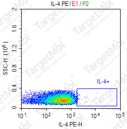 Anti-IL-4 Antibody-PE (MP4-25D2)