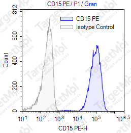 Anti-CD15 Antibody-PE (W6D3A12)