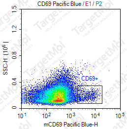 Anti-CD69 Antibody-Pacific Blue (H1.2F3)