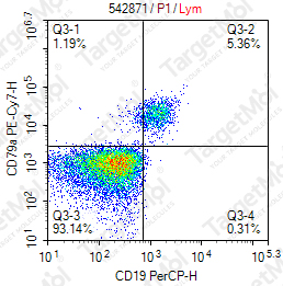 Anti-CD79a Antibody-PE-Cy7 (HM47)