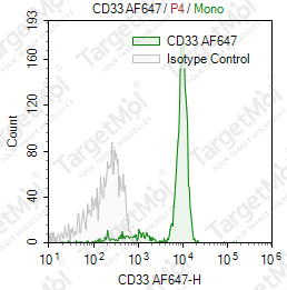 Anti-CD33 Antibody-AF647 (WM53)