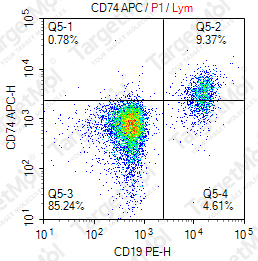 Anti-CD74 Antibody-APC (LN2)