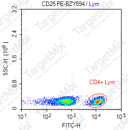 Anti-CD25 Antibody-PE-BZY594 (143-13)