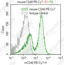 Anti-CD40 Antibody-PE-Cy7 (FGK45)