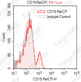 Anti-CD19 Antibody-PerCP (SJ25-C1)