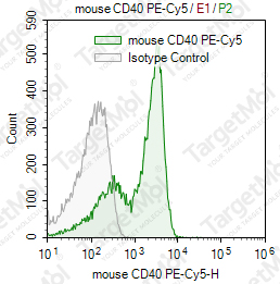 Anti-CD40 Antibody-PE-Cy5 (1C10)