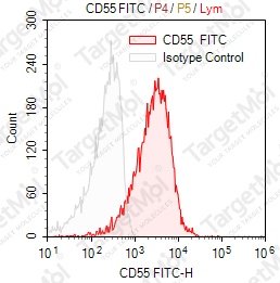 Anti-CD55 Antibody-FITC (67)