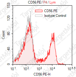 Anti-CD56 Antibody-PE (NCAM16.2)