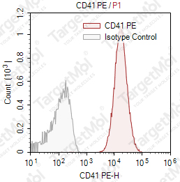 Anti-CD41 Antibody-PE (P256)