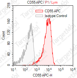 Anti-CD55 Antibody-APC (143-30)
