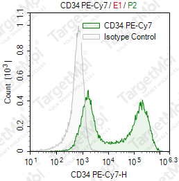 Anti-CD34 Antibody-PE-Cy7 (4H11)