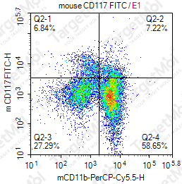 Anti-CD117 Antibody-FITC (ACK2)
