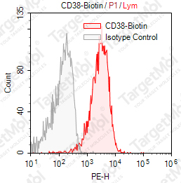 Anti-CD38 Antibody-Biotin (HIT2)
