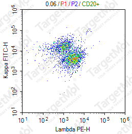 Anti-Lambda Antibody-PE (ICO106)
