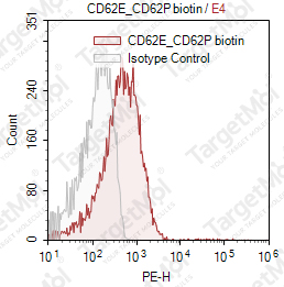 Anti-CD62E/CD62P Antibody-Biotin (1.2B6)
