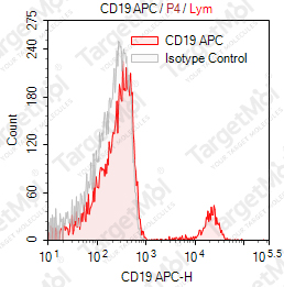 Anti-CD19 Antibody-APC (CB19)