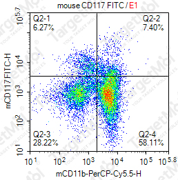 Anti-CD117 Antibody-FITC (2B8)
