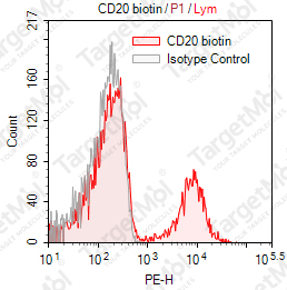 Anti-CD20 Antibody-Biotin (BCA/B20)