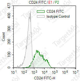 Anti-CD24 Antibody-FITC (91)
