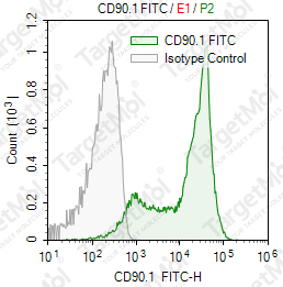Anti-CD90.1 Antibody-FITC (OX-7)
