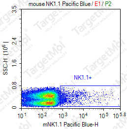 Anti-NK1.1 Antibody-Pacific Blue (PK136)