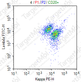 Anti-Lambda Antibody-FITC (ICO106)