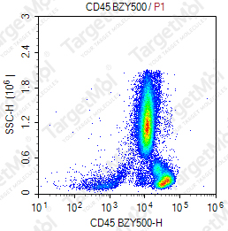 Anti-CD45 Antibody-BZY500 (HI30)