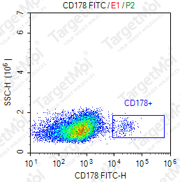 Anti-CD178 Antibody-FITC (NOK-1)