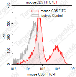 Anti-CD5 Antibody-FITC (53-7.3)