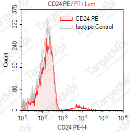 Anti-CD24 Antibody-PE (SN3)