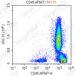 Anti-CD45 Antibody-AF647 (9.4)
