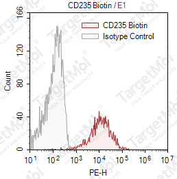 Anti-CD235 Antibody-Biotin (HIR2)