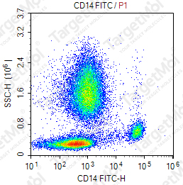 Anti-CD14 Antibody-FITC (61D3)