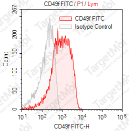 Anti-CD49f Antibody-FITC (4F10)
