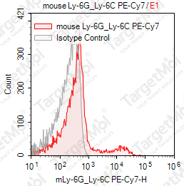 Anti-Ly-6G/Ly-6C Antibody-PE-Cy7 (RB6-8C5)
