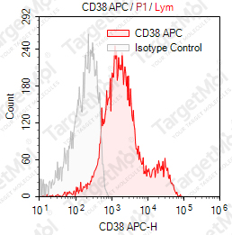 Anti-CD38 Antibody-APC (HIT2)