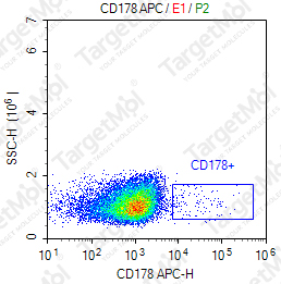 Anti-CD178 Antibody-APC (NOK-1)