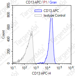 Anti-CD13 Antibody-APC (B-F10)