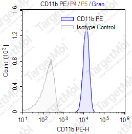 Anti-CD11b Antibody-PE (M1/70)